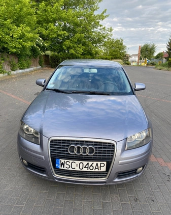 Audi A3 cena 12000 przebieg: 275523, rok produkcji 2004 z Sochaczew małe 79